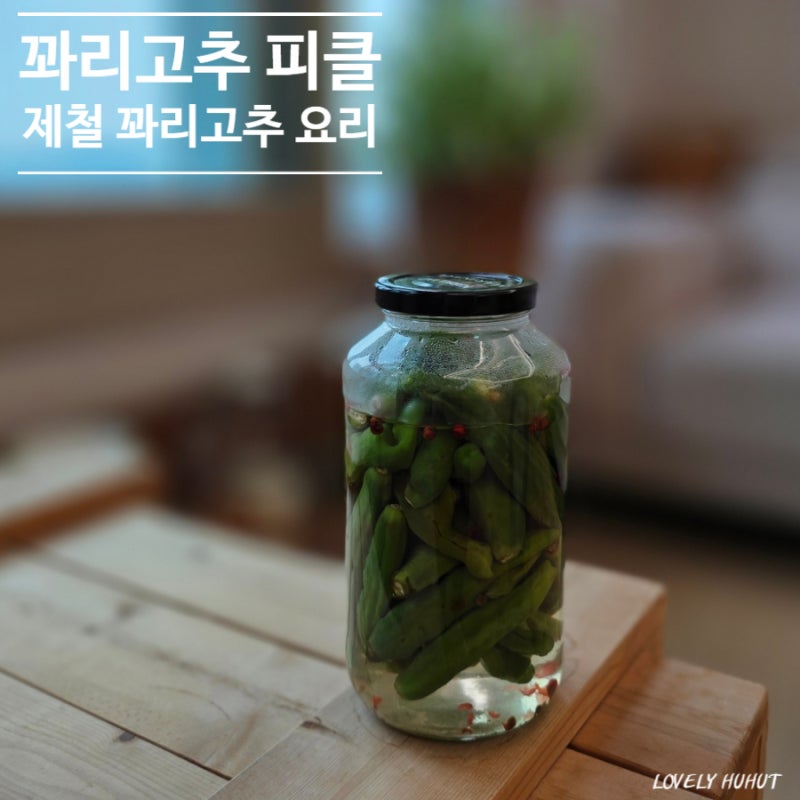 꽈리고추 피클 만들기 새콤달콤 수제피클 레시피