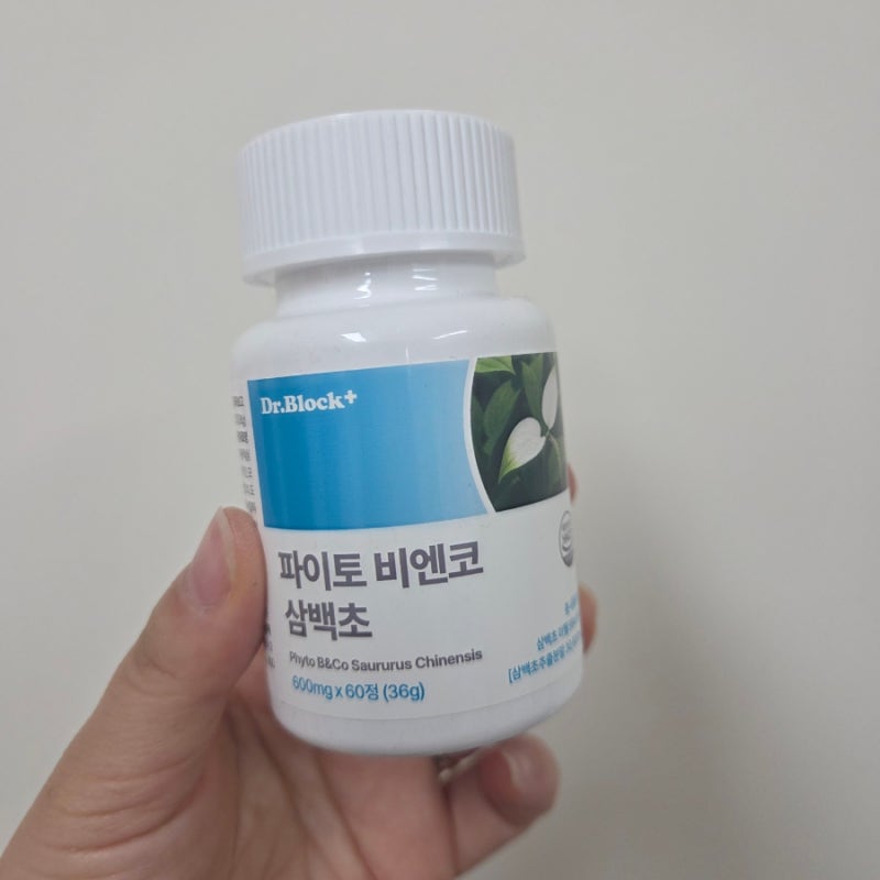 삼백초추출물 효능, 비염 콧물 코막힘 때문에 고민이라면
