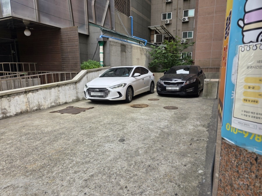 네모난강아지 사진 3