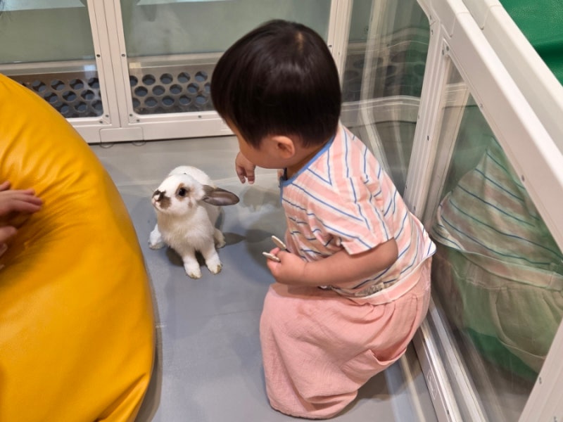 부산 광안리 동물카페 '애니멀카페 피피피'
