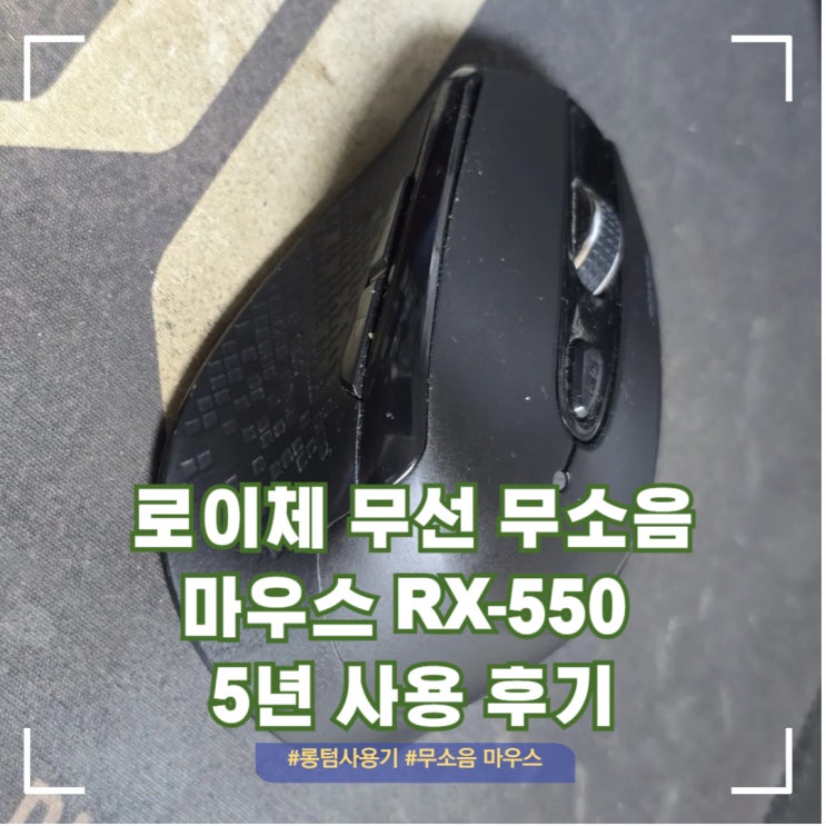  손 큰 사람 추천 무선 무소음 로이체 마우스 5년 후기
