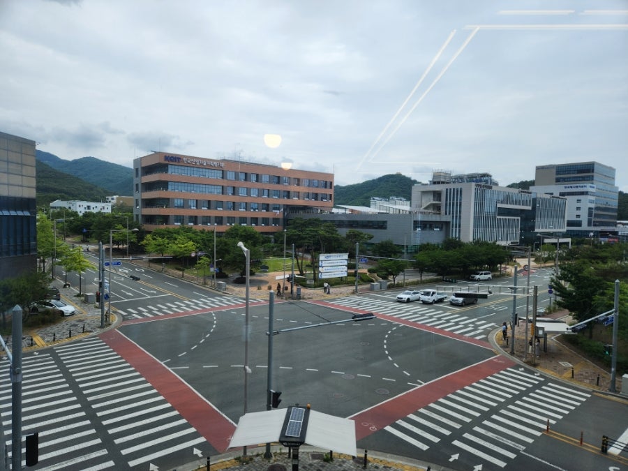 탕리도닭 사진 5