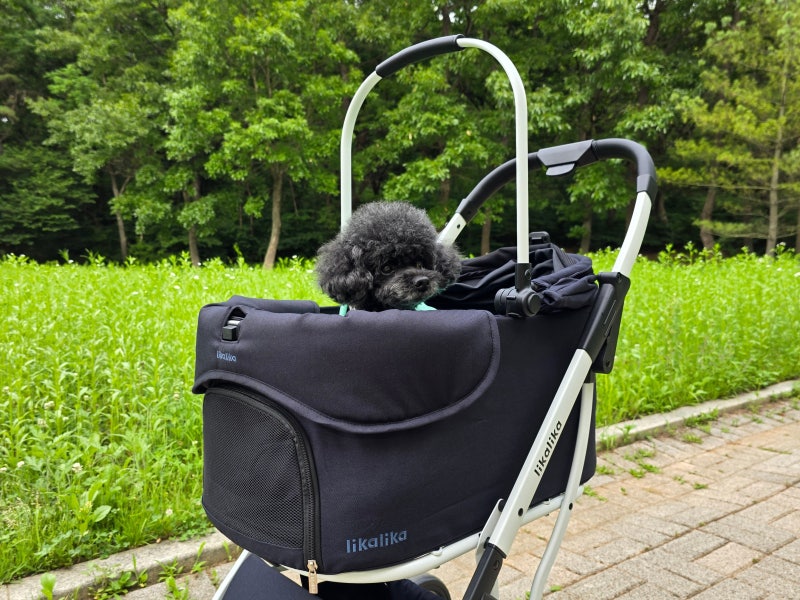 애견 강아지유모차 리카리카 듀오플렉스 개모차