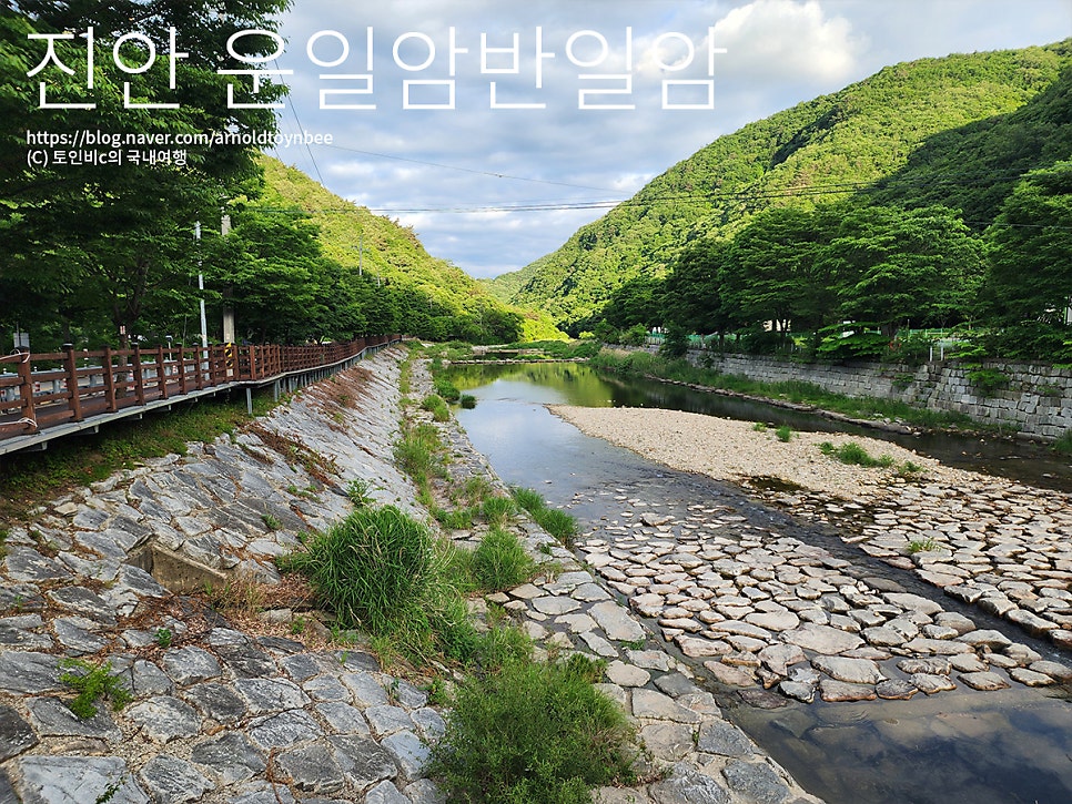 용담댐 오토 캠핑장 사진 3