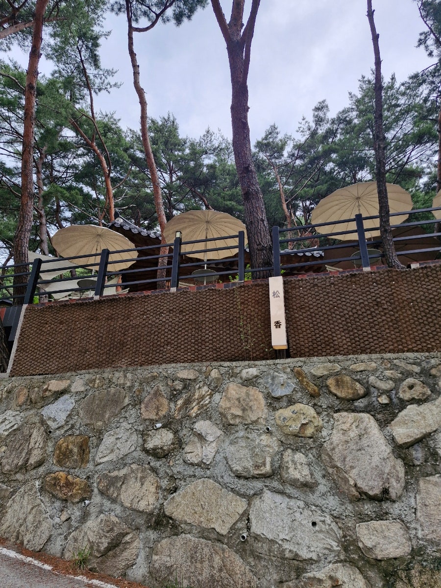 카페 솔향 사진 3