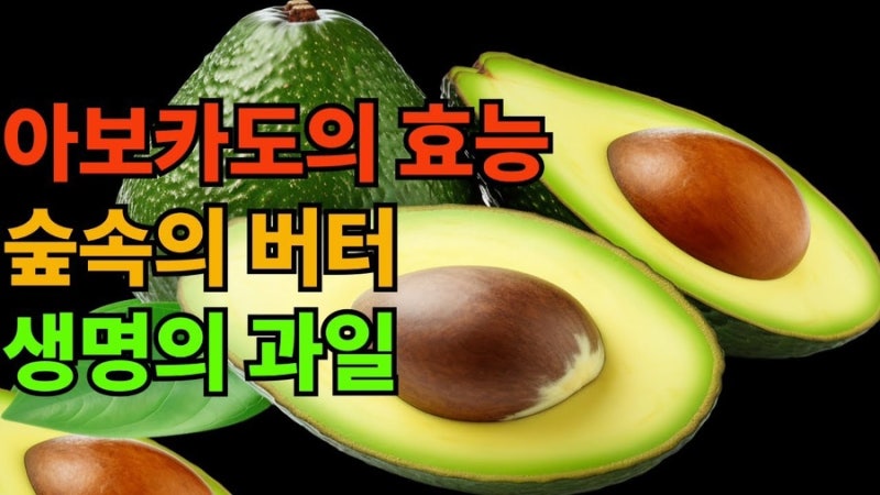 숲속의 버터, 아보카도의 모든 것｜놀라운 효능부터 영양 성분, 고르는 법, 먹는 법까지 완벽....