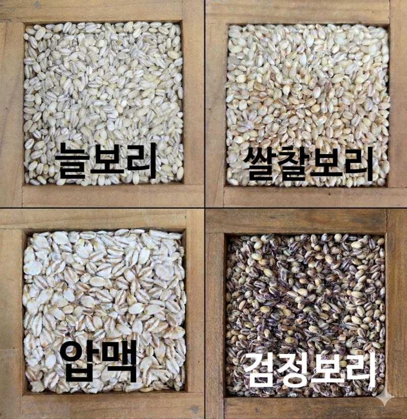 [방앗간 지식 2탄] 보리의 종류와 당뇨에는 도대체 어떤 보리를 먹어야 하나?