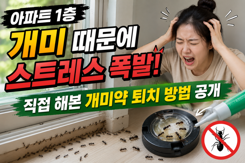 아파트 1층 개미 때문에 스트레스 폭발! 직접 해본 개미 약 퇴치 방법 공개