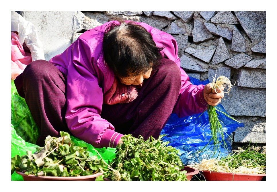 계척마을 산수유시목지 사진 1