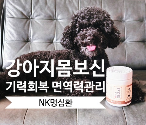  수술 후 강아지몸보신, 노령견 기력회복 어떻게 할까? 강아지면역력관리를 위해 시작했어요