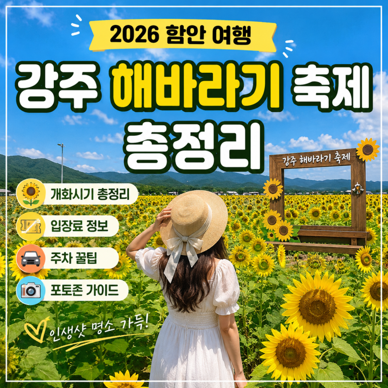 [2026 함안 여행] 강주 해바라기 축제 총정리 : 개화시기·입장료·주차·포토존 가이드