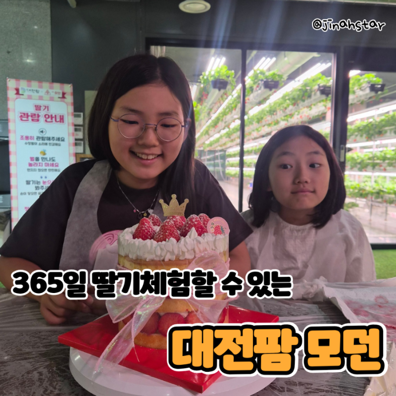 대전 여행 코스 추천, 365일 딸기 체험 가능한 대전팜 모던