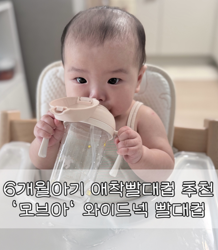  6개월 아기 첫 애착빨대컵 추천 | '모윰' 모브아 와이드넥 애착빨대컵 디어포니 에디션