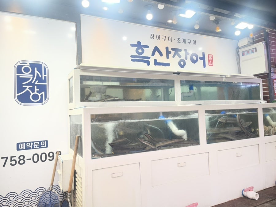 흑산장어 사진 3