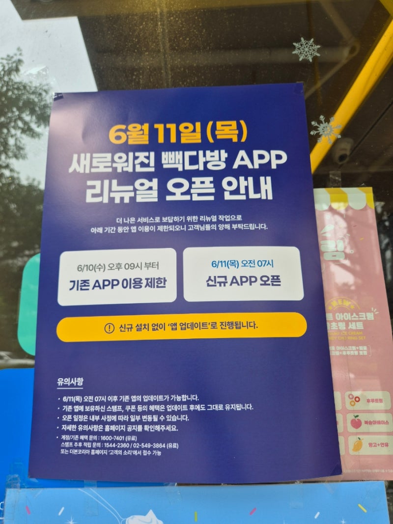 내돈내산 빽다방 메뉴 추천 생크림 아메리카노 포장 후기 (ft. 앱 리뉴얼 쿠폰, 텀블러 할인)