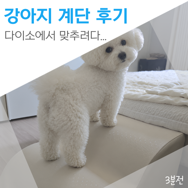 다이소 강아지 계단 사려다 구매한 높은 미끄럼방지 계단 후기