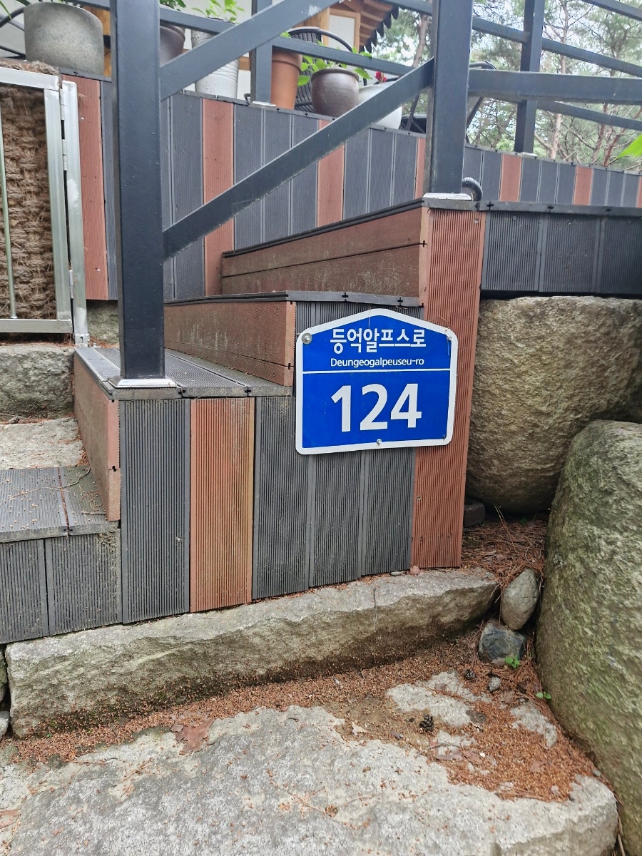 카페 솔향 사진 6