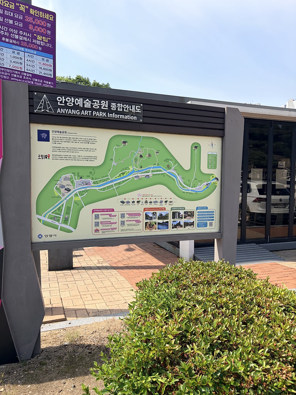 은행나무 사진 1