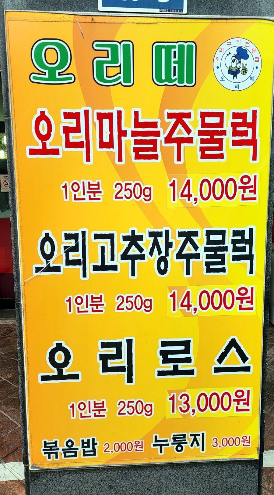 오리떼 사진 2