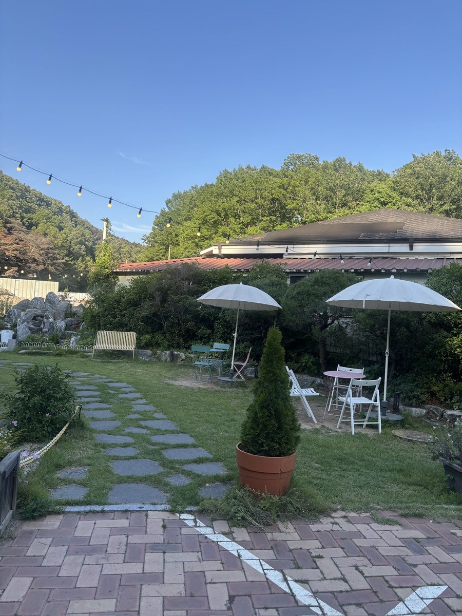 펠리츠모닝 사진 4