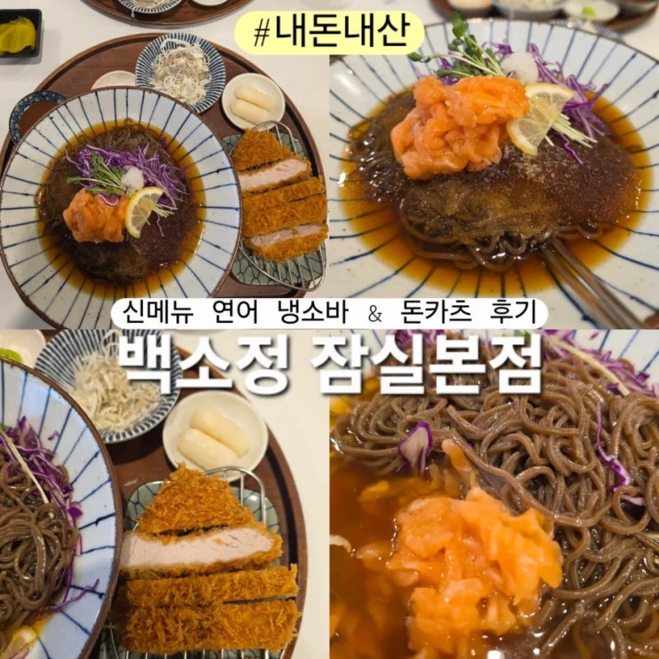  백소정 잠실본점 연어냉소바 돈카츠 세트 신메뉴 내돈내산 후기