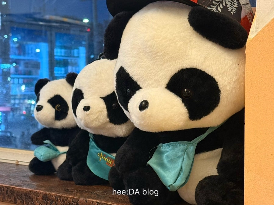 차이나당 사진 6