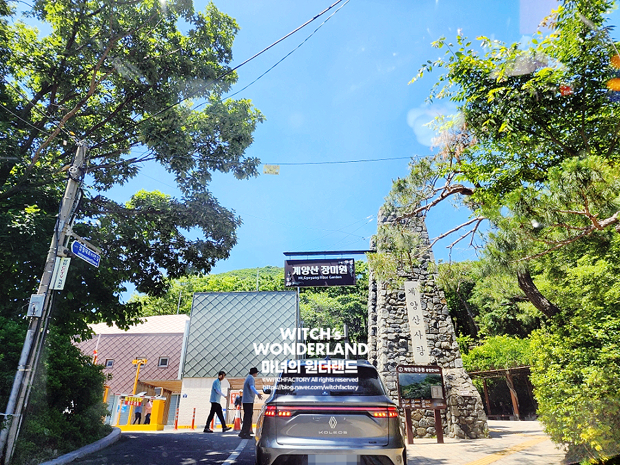 산들바람 사진 5