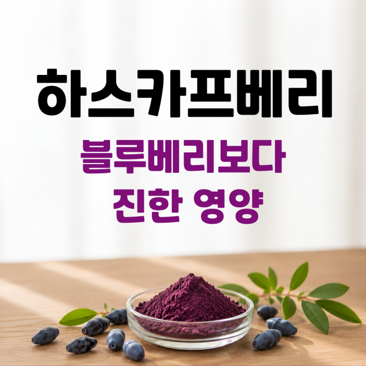  하스카프베리분말 효능 부작용 섭취방법 총정리