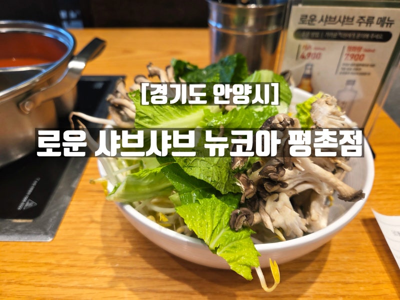 [경기도 안양시 범계]범계역에서 깔끔하고 가성비 있는 뷔페를 찾는다면, 로운 샤브샤브 뉴....