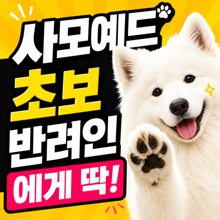  사모예드가 초보 반려인에게 맞는 이유