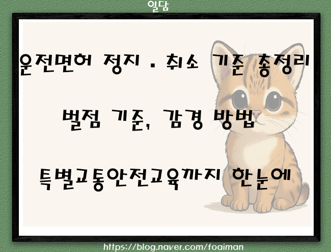  운전면허 정지·취소 기준 총정리｜벌점 기준, 감경 방법, 특별교통안전교육까지 한눈에