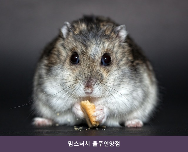 맘스터치 울주언양점 사진 3
