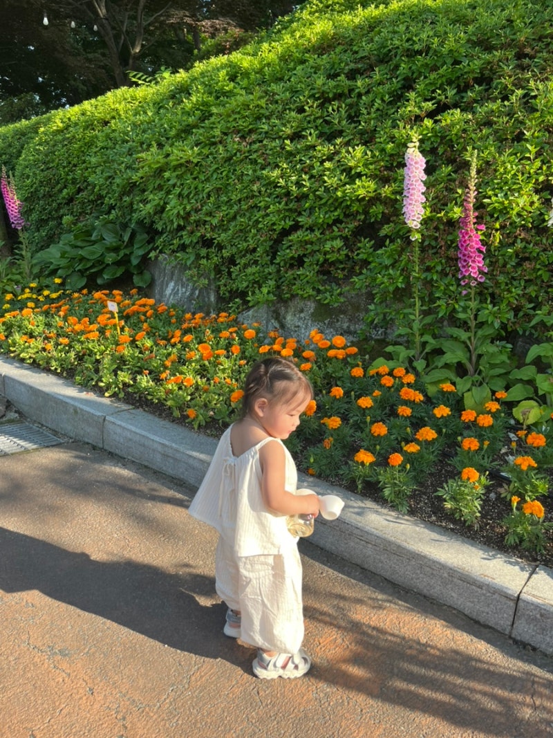 용인농촌테마파크 19개월 아기랑 다녀온 솔직후기