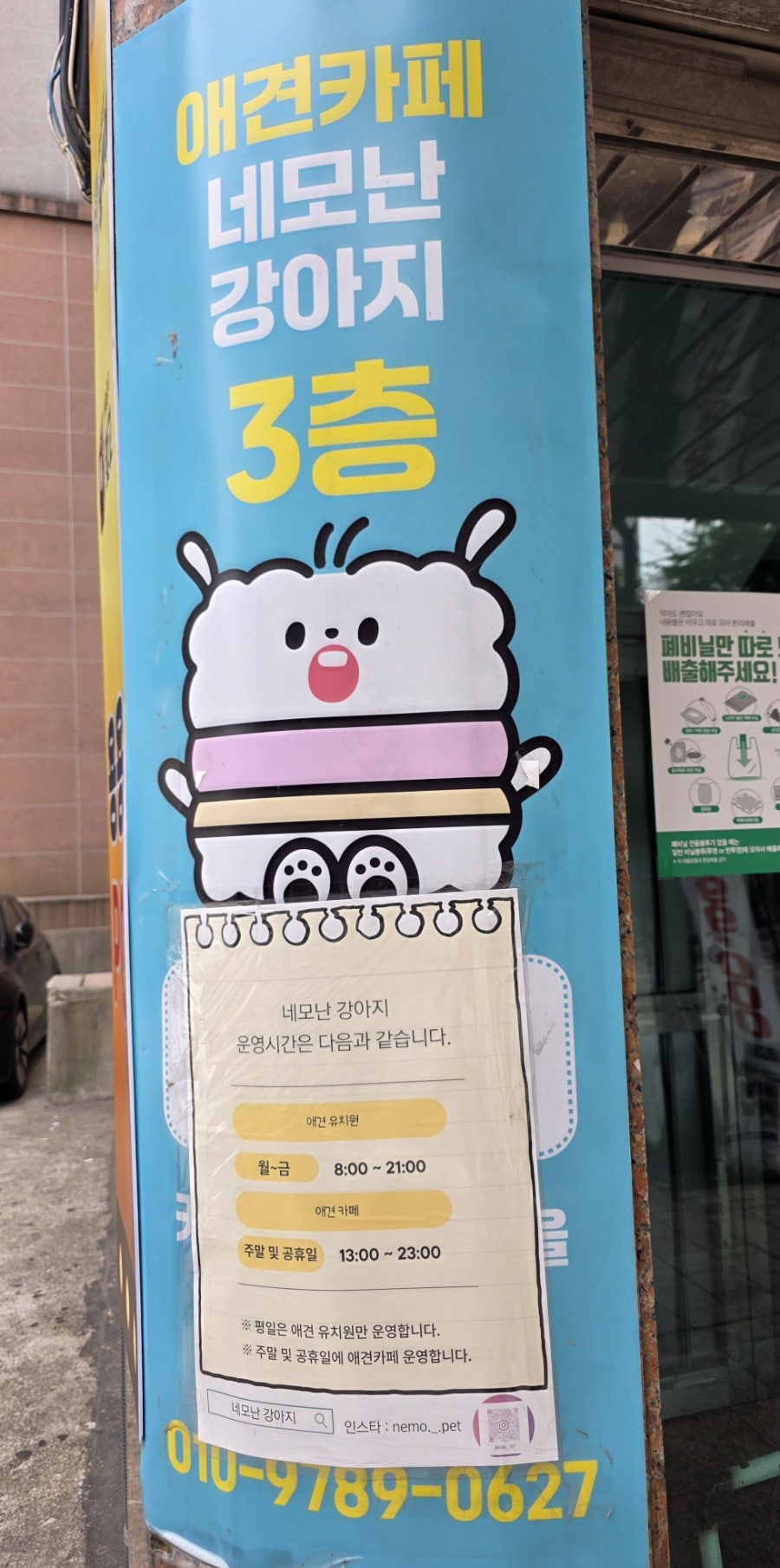 네모난강아지 사진 2
