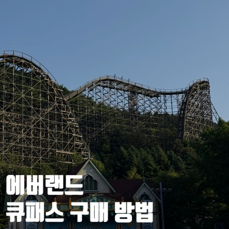 에버랜드 큐패스 구매 방법 가격 당일 사는법 (사파리, 로스트밸리) 티익스프레스(모니모러....