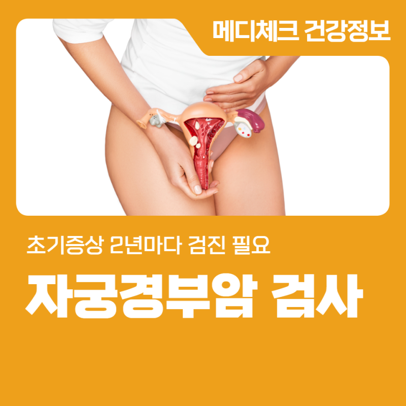 부산 자궁경부암 검사 초기증상 2년마다 검진 필요