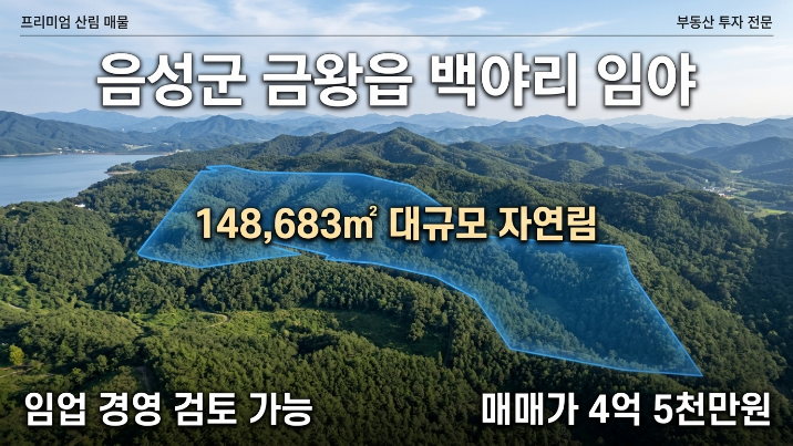  충북 음성군 금왕읍 백야리 임야 매매｜148,683 자연림·임업용산지·임업경영 검토 가능