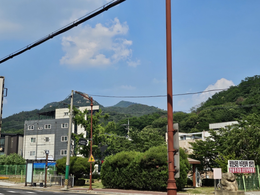 우렁쌈밥이가네 사진 5
