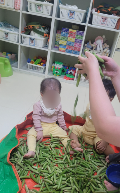 콩깍지 사진 2