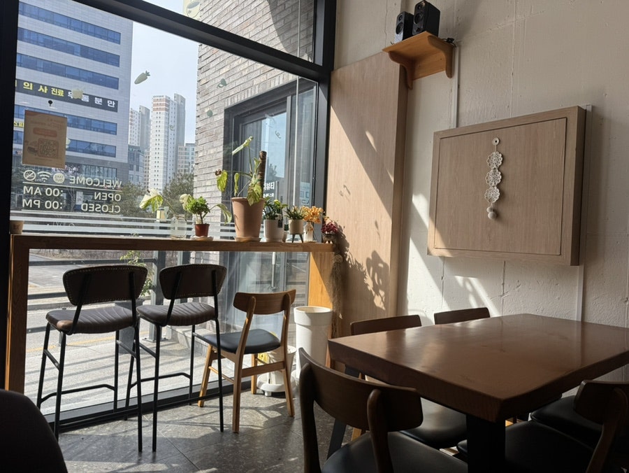 효야미 사진 2