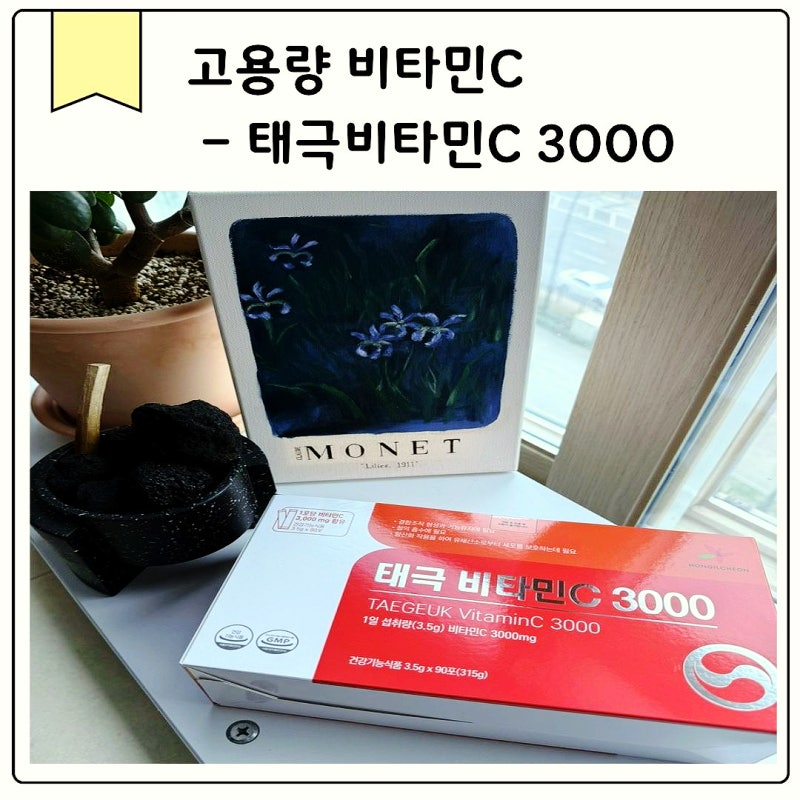 지친 일상에 활력 충전 태극 비타민C 3000 솔직 섭취 후기