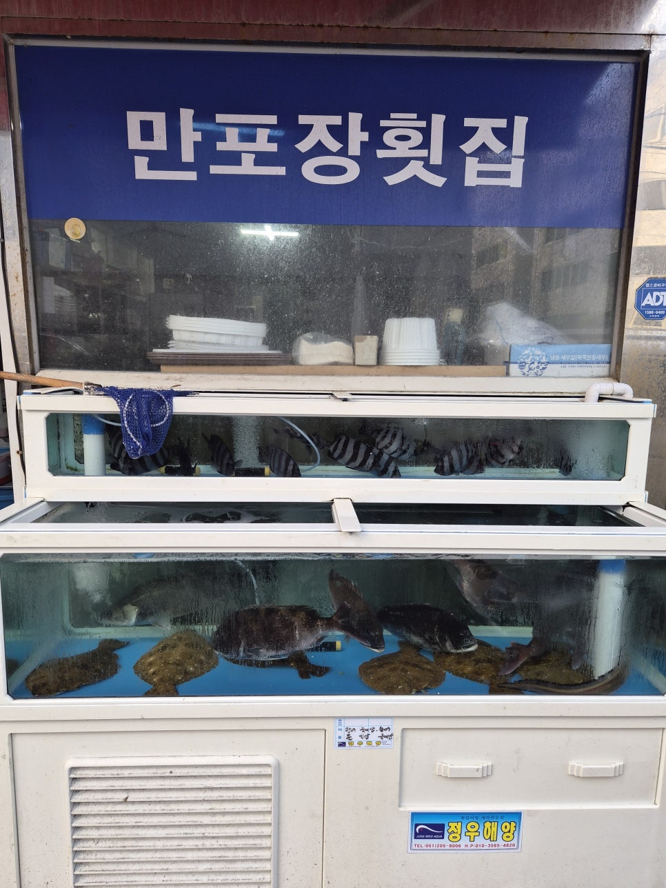 만포장횟집 사진 3