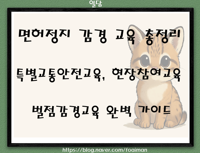  면허정지 감경 교육 총정리｜특별교통안전교육, 현장참여교육, 벌점감경교육 완벽 가이드