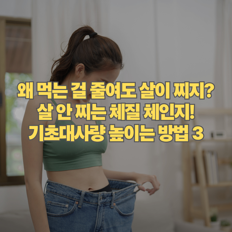  덜 먹어도 살찌는 나잇살의 비밀, 기초대사량 높이는 방법과 실천 습관 3가지