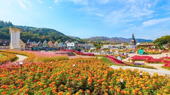 풍차장어 사진 6