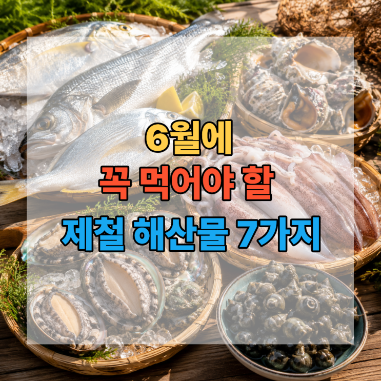  지금 가장 맛있어요! 6월에 꼭 먹어야 할 제철 해산물 7가지