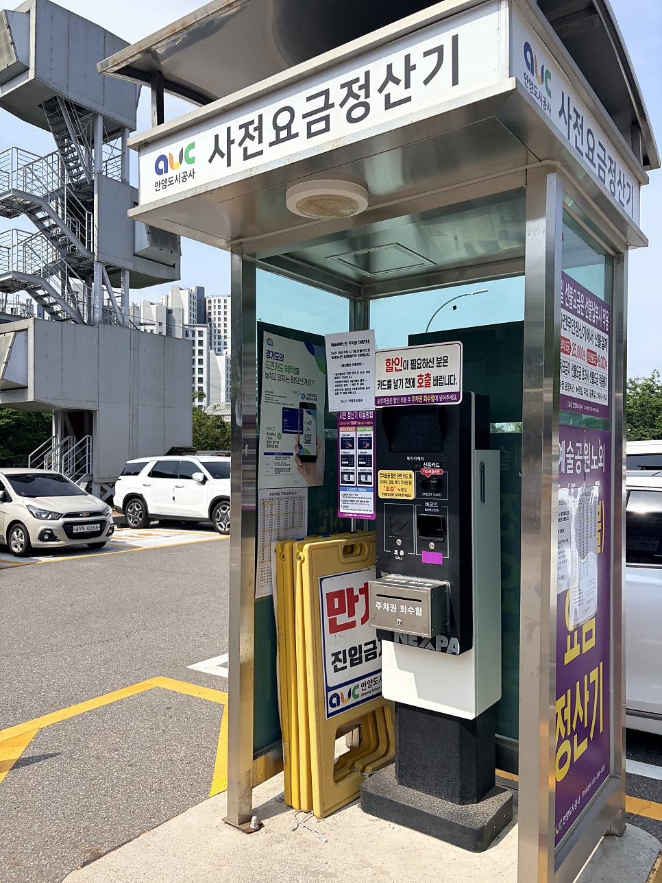 은행나무 사진 2