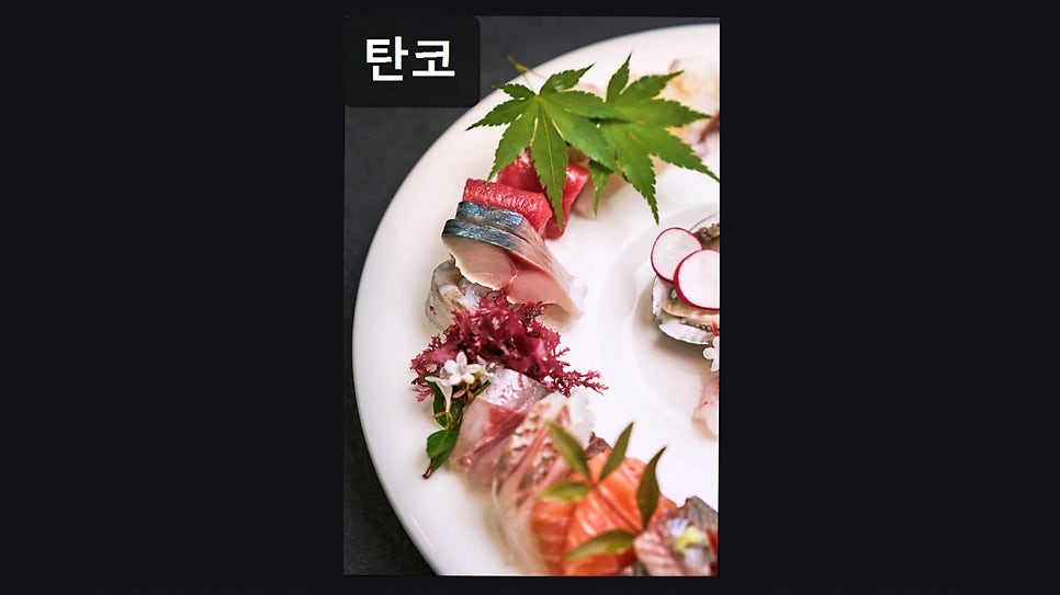 탄코 사진 2