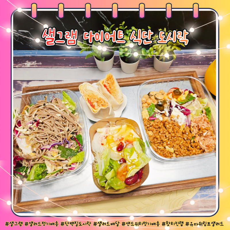 샐그램 다이어트 식단 도시락 구독 샐러드 정기배송