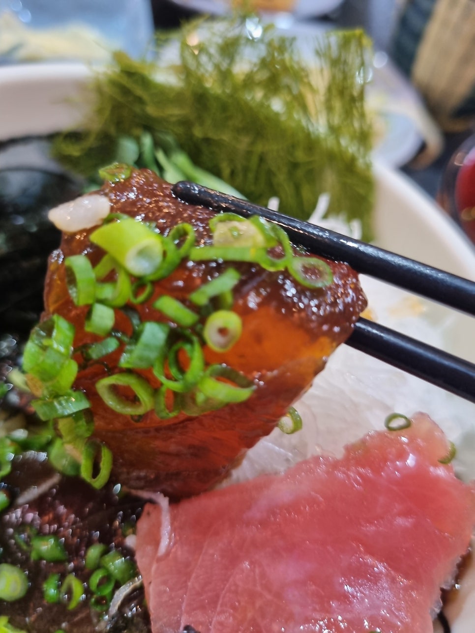 참치와아저씨 사진 4
